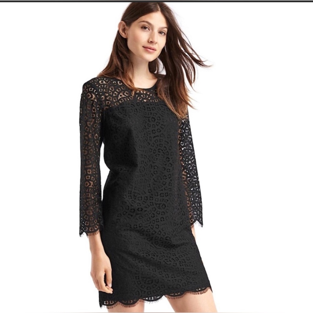 GAP Lace Shift Dress NWT Medium